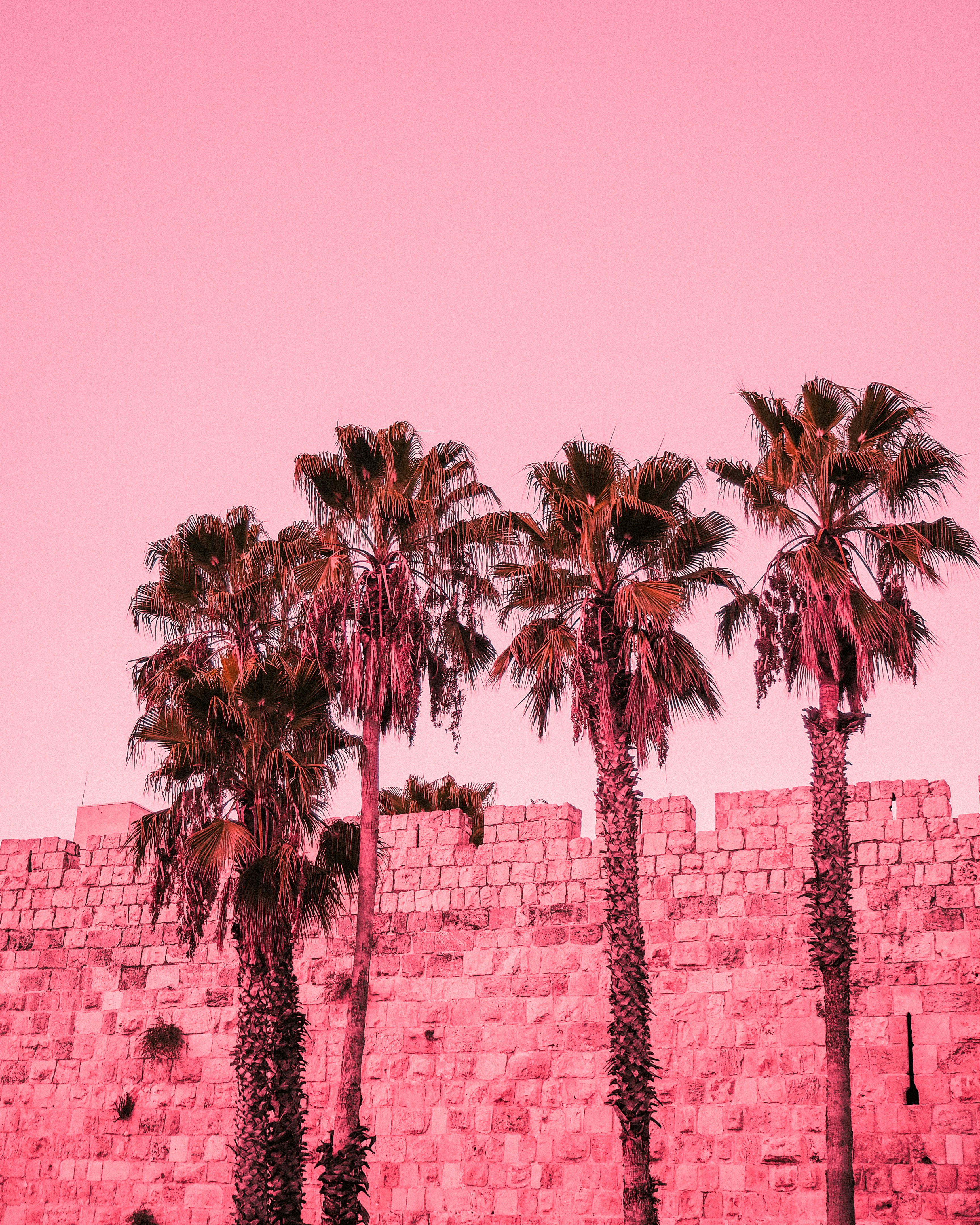 Hebrew Translation Services